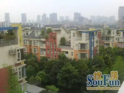 金科天籁城美社