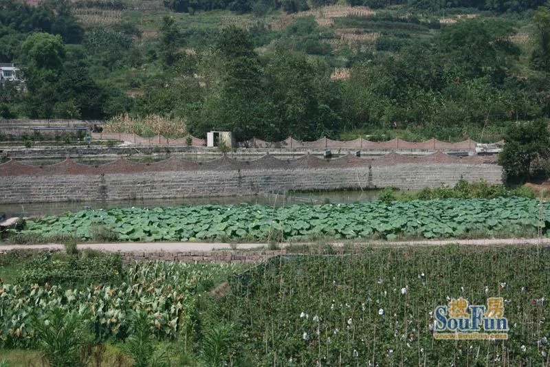 九龙坡-白市驿-九龙坡区白市驿白欣路29号 渝川世纪园房价走势