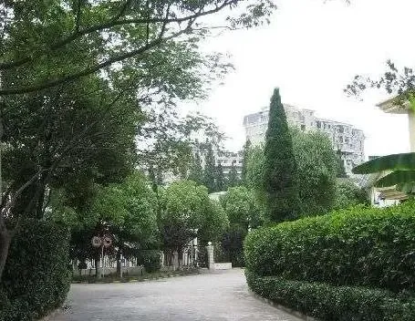 新律花园城芯独栋 低密静谧墅居 带私园 自然与繁华都搬进日常