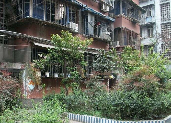 市委机关宿舍大院这个小区的房源有几居室的?想买个不