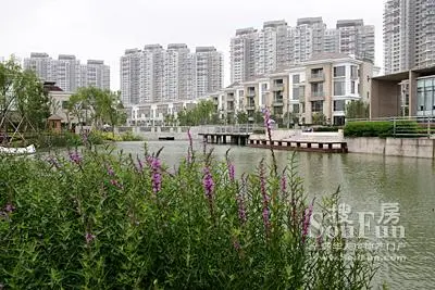 擘画昆山新天地 4大商家进驻世茂61蝶湖湾