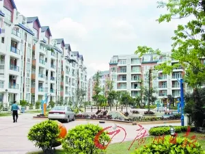 番禺垃圾焚烧厂停建钟村板块二手成交“井喷”