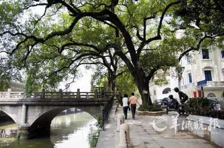 反方向看看,味道与当年一样吗(来源:羊城晚报 摄影 殷成林)