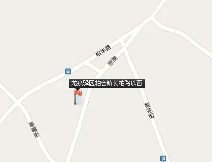 龙泉驿区柏合镇长柏路以西宗地位置