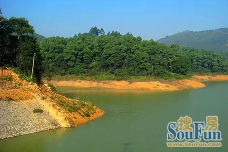 作为江门市的"绿肺",大西坑风景区草木繁盛,植物种类繁多,区内气候