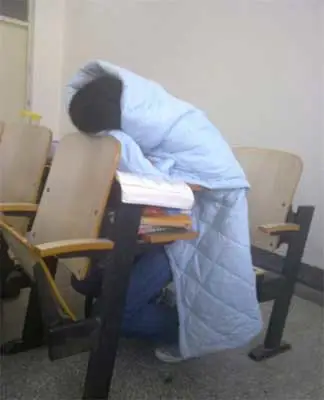 虐猪门照片惹火网络 大学生生活很黄很暴力