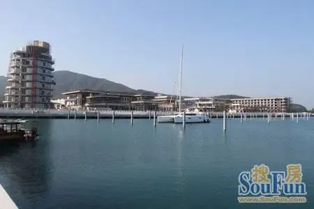 半岛体育- 半岛体育官方网站- APP下