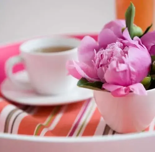 位鲜花摆放风水攻略 让你健康美丽天天财运到