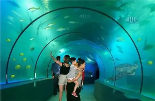 北海自助旅游之北海海底