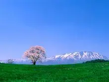 ̳֮ǣgracesing