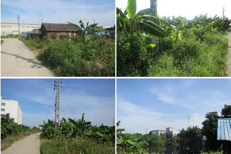 中山民众镇一工业地挂拍将于8月16日现场竞拍