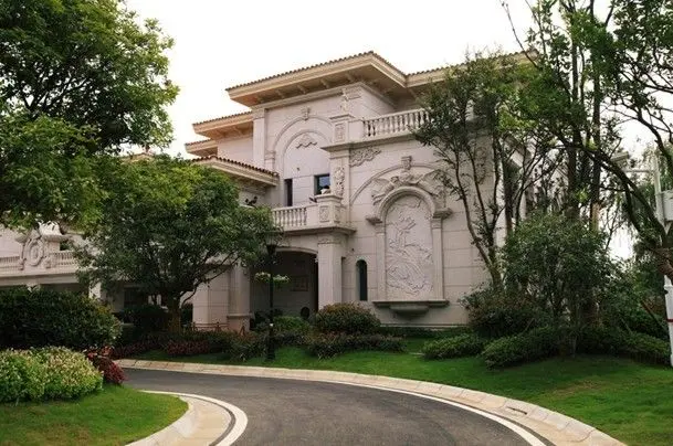 本次围棋赛将邀请20位武汉市 企业家围棋手齐聚严西湖畔手谈对弈.