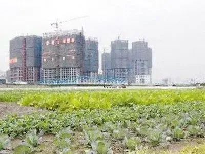 农村土地确权