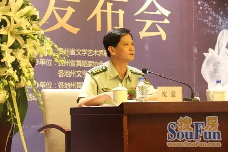 舞蹈家协会主席,贵州省文联委员,武警贵州总队文工团艺术总监沈毅发言