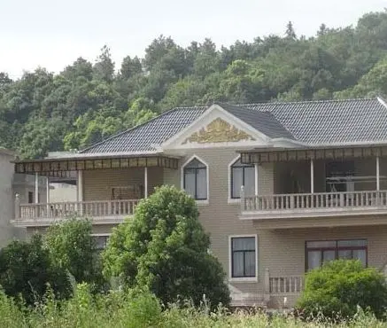 气功大师王林王府招牌被拆 再曝三幢豪宅(图)