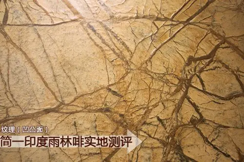 测评简一大理石瓷砖印度雨林啡还原稀缺石材