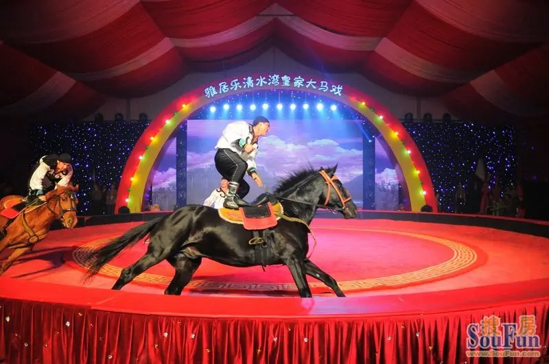 海南最大 雅居乐清水湾皇家大马戏首演爆红国际旅游岛