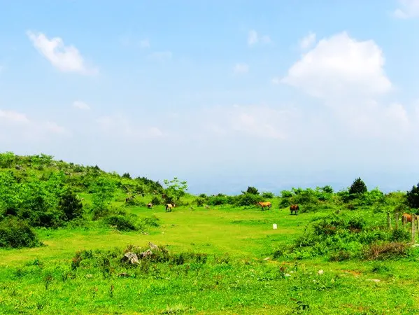 齐岳山