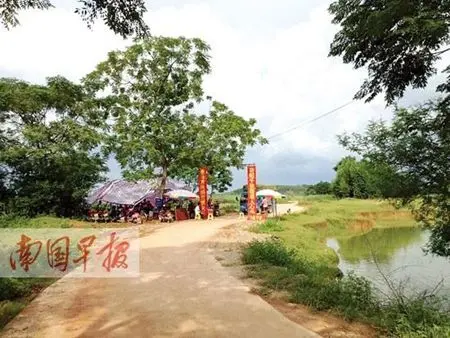 陆屋镇罗屋坪村委高龙塘村新窝旁,村民搭起牌楼,向过往车辆"募捐"修路