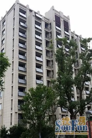 你是我唯一的玫瑰 颐景御园7.27期待完美绽放