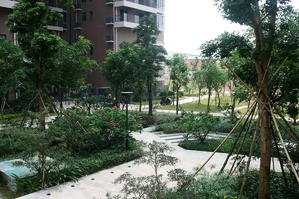 鸿润61叠韵