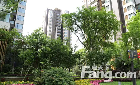 水岸花都院墅是由四川省德阳市中亚房地产开发公司开发,地处蒙山街