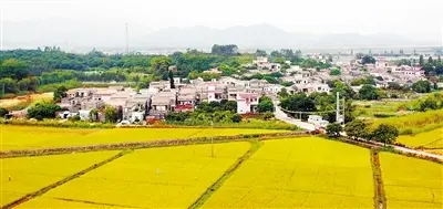中国十大最美乡村之珠海南门村多图见证美丽