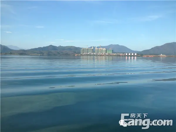 太平湖春天已来金龙岛灯笼花已开喜迎情人节