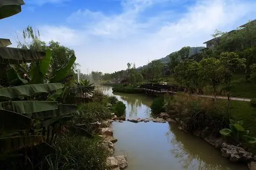的园林;【汀澜岸】一街之隔就是建筑面积约20万方的南山中央湿地公园