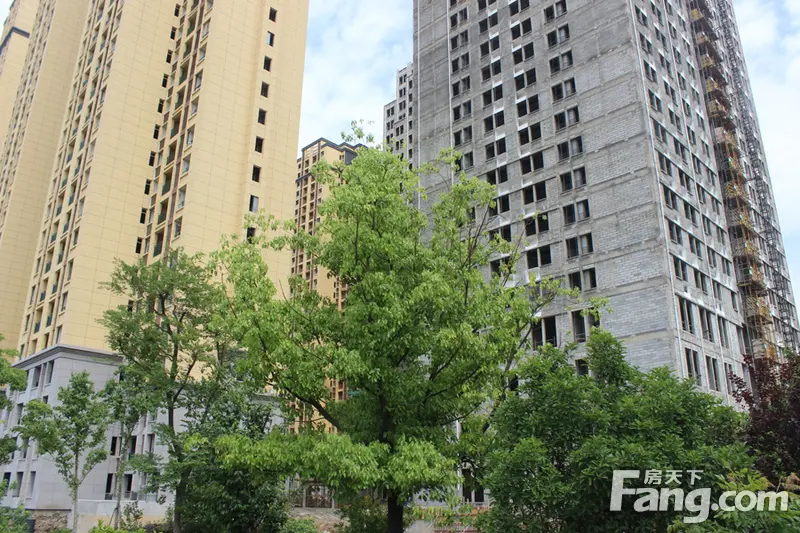 云鼎国际6月就交付了 绿化毫无动静
