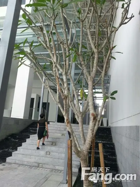 马来西亚