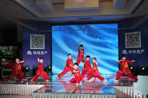 武术表演
