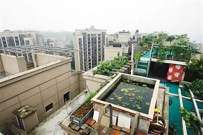 重庆一小区23层楼顶建游泳池 花台庭院凑齐了