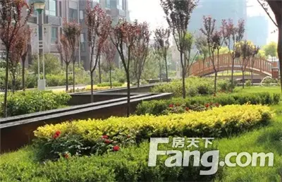 社区主轴景观