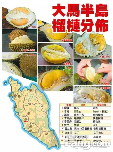 马来西亚