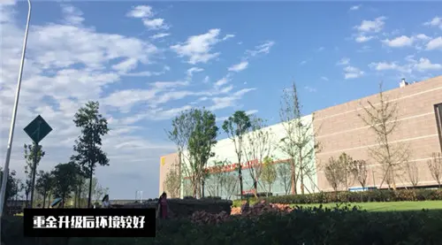 成都卖房子的哭了 卖家具的却笑了