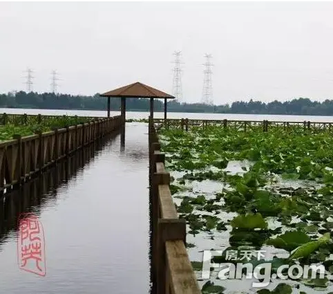 东沙湖生态公园