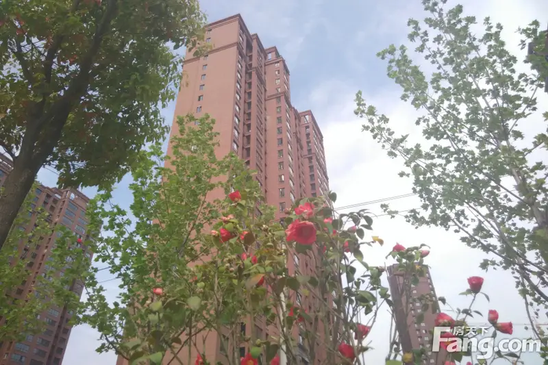 淮矿东方蓝海 滨湖核心 95折致敬刚需!