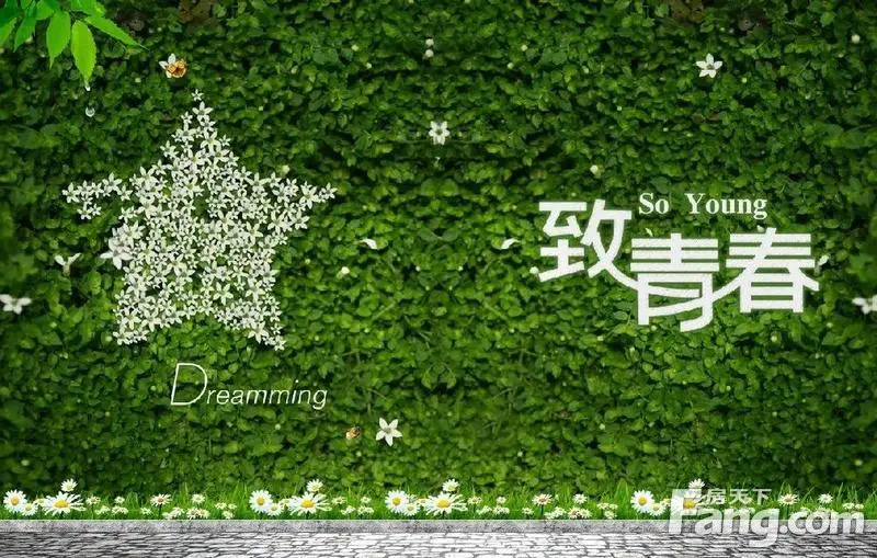 轻轻开启时光岁月的青春梦