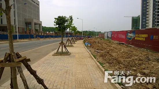 枫林吉祥长虹3路开通 方便的可不仅仅是去东站
