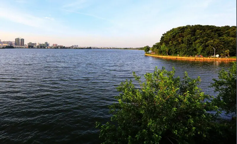 沙湖是武汉市区内环线内唯一的湖泊,现已经建立两所沙湖公园:沙湖公园