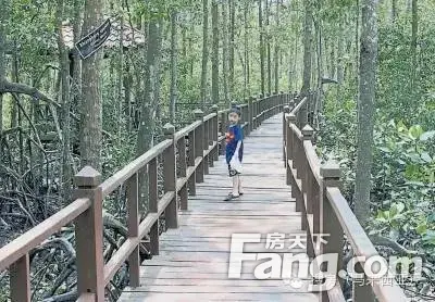 马来西亚