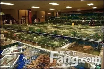 马来西亚