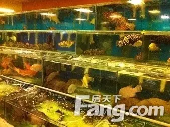 马来西亚