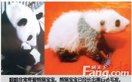  马来西亚