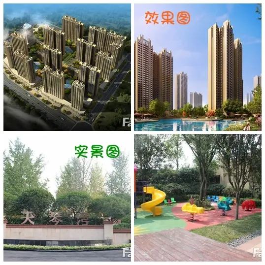 天琴湾
