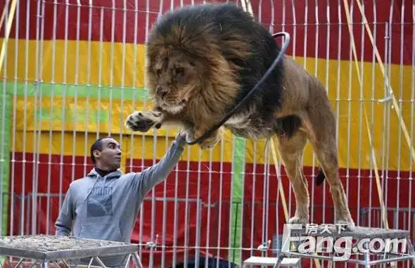 Ϸ