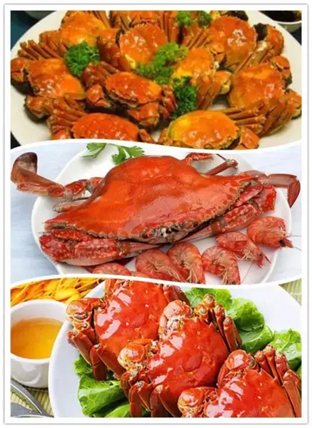 湛江美食之光|一个"穷"得只剩下海鲜的城市
