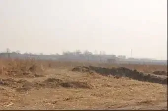 工业用地闲置率惊人！全缅甸竟有这么多工业用地从未使用