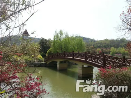 【合肥】全城:【观澜山体】紫蓬山风景区项目别墅山庄清盘中是都吗别墅天下图片